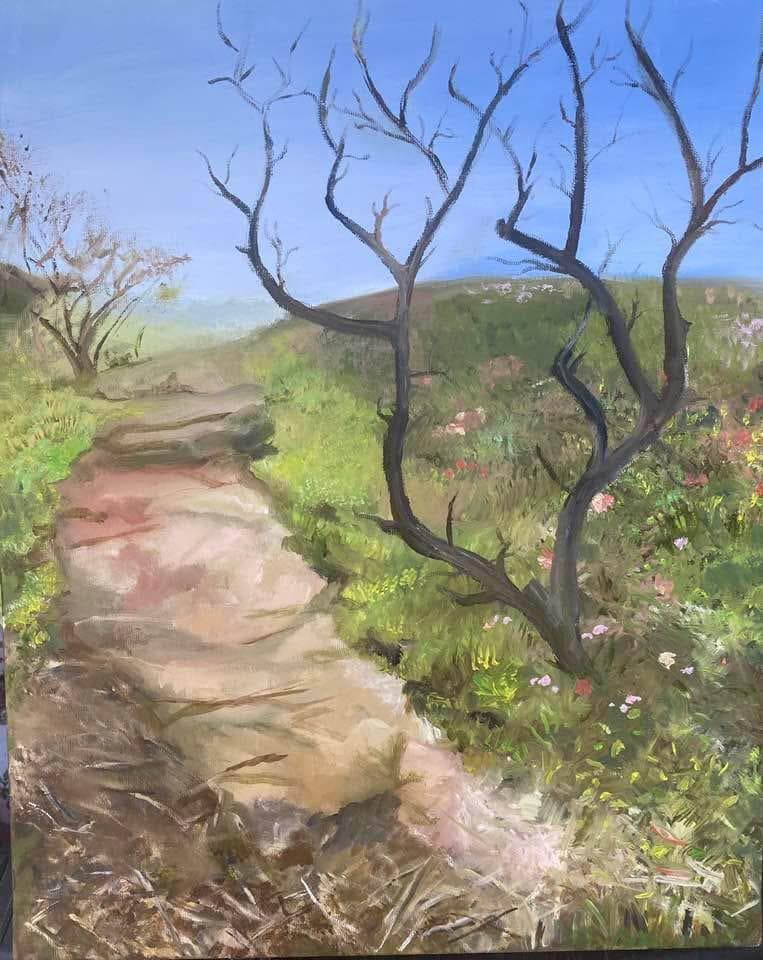 Spring Trail